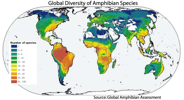 Global Diversity Of Amphibian Species Os 781x425 Mapporn