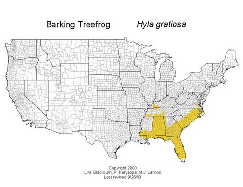 Hyla gratiosa distribution