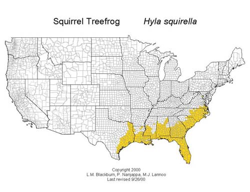 Distribución H.squirella