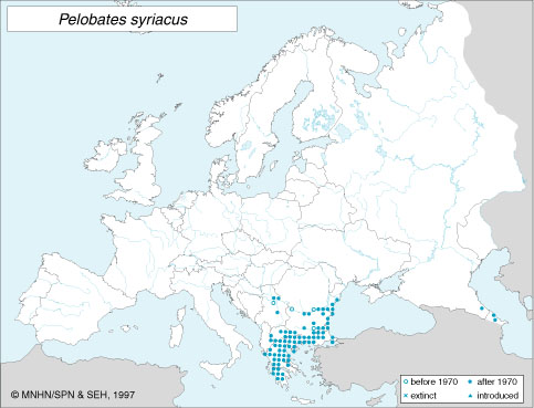 http://www.amphibiaweb.org/rangemaps/Pelobates_syriacus3.jpg