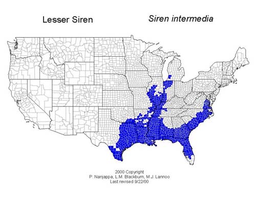 ADW: Siren intermedia: INFORMATION