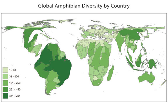 Visualizing Amphibiaweb Data With Continuous Cartograms