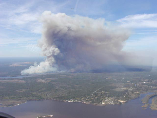 Image of prescribed burn at Eglin Air Force Base, habitat of the Florida Bog Frog