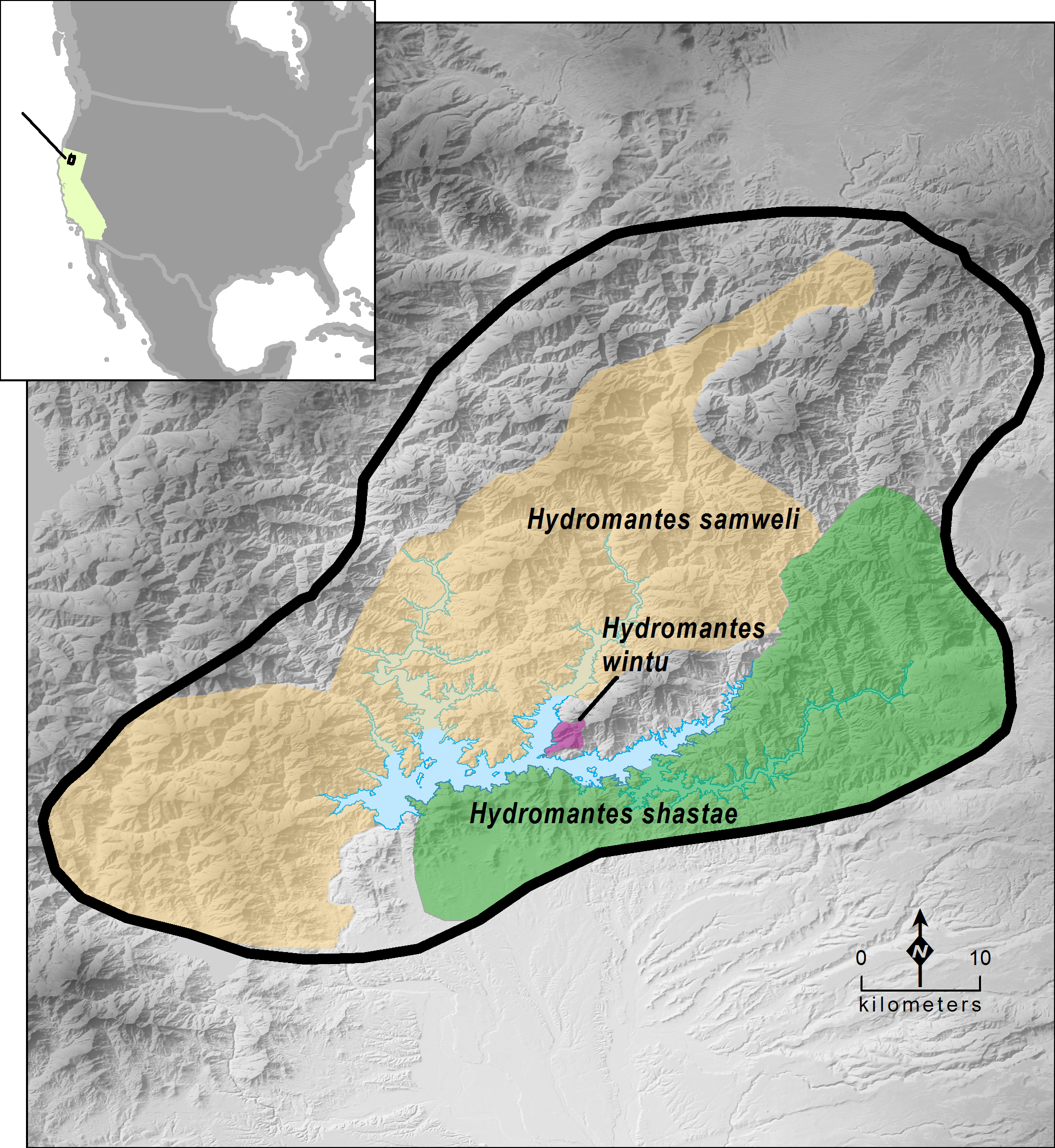 Hydromantes shastae group ranges