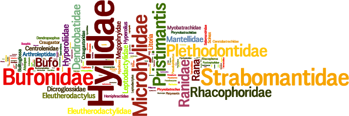 Click to see Wordle for new taxonomy