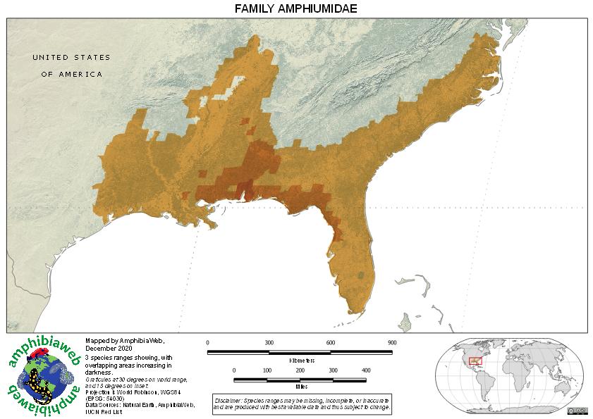 Amphiumidae Richness map