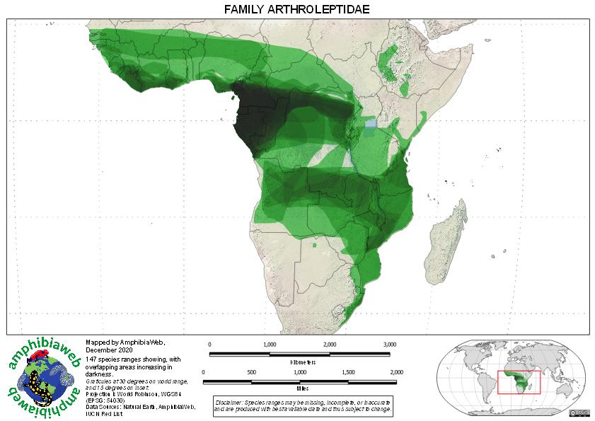 Arthroleptidae Richness map