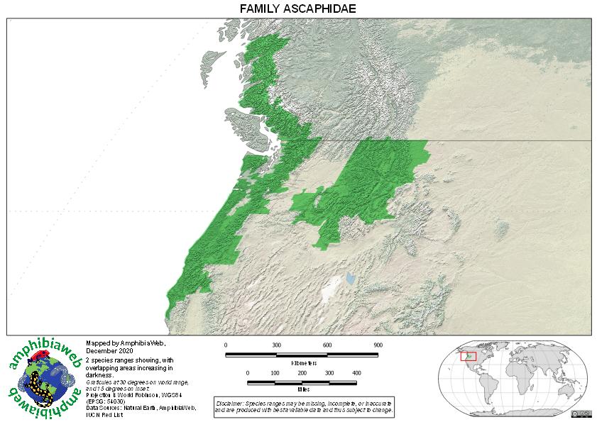 Ascaphidae Richness map