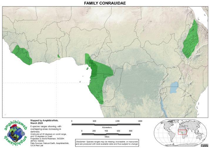Conrauidae Richness map