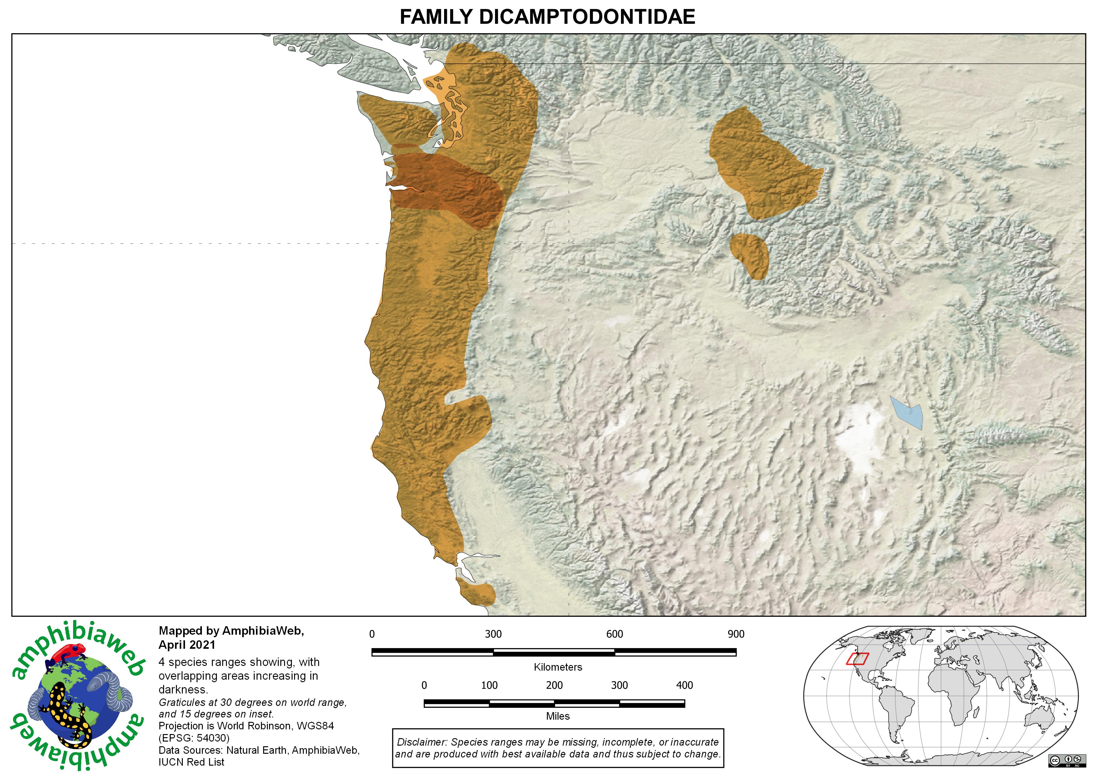 Dicamptodontidae Richness map