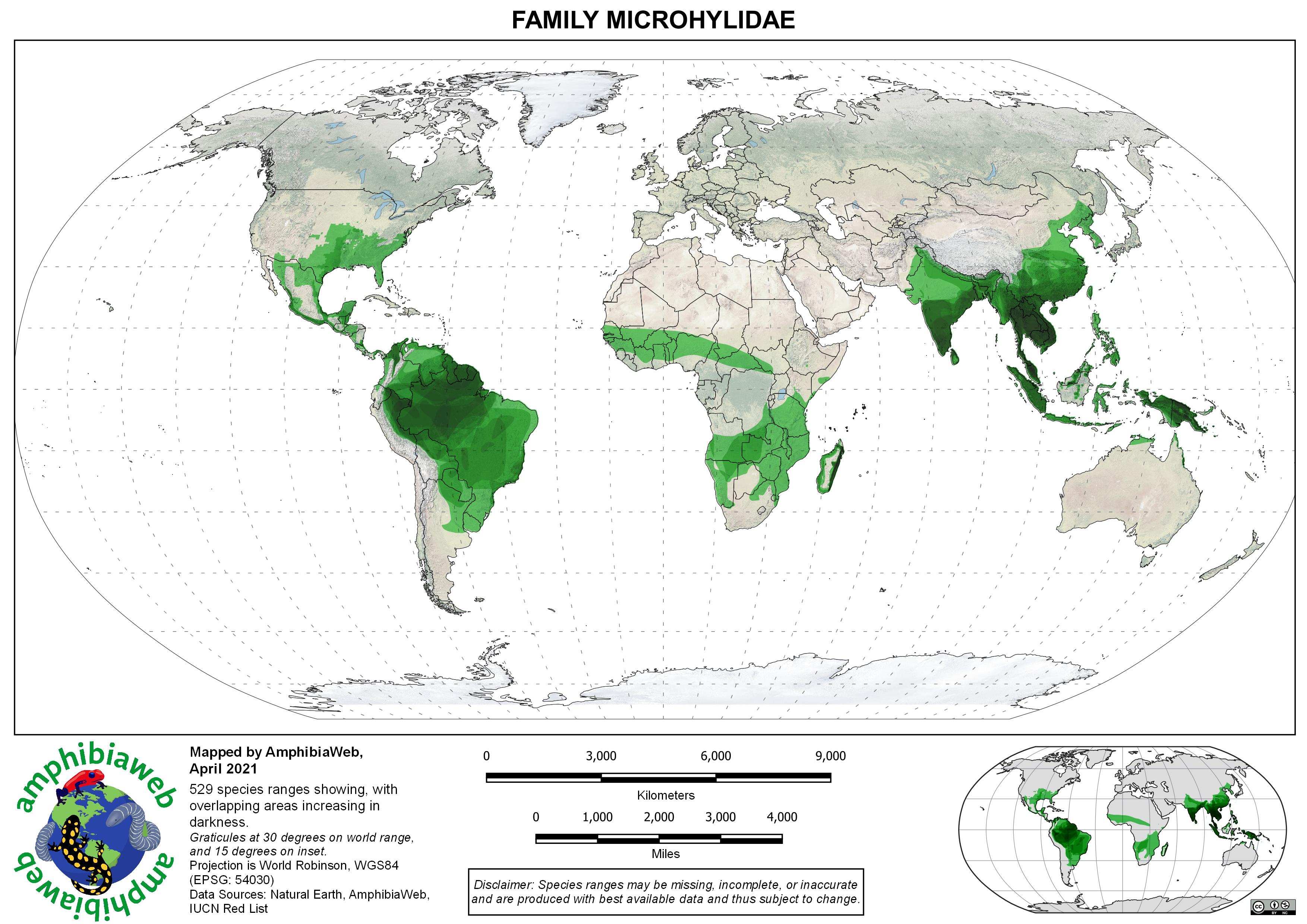 Microhylidae Richness map