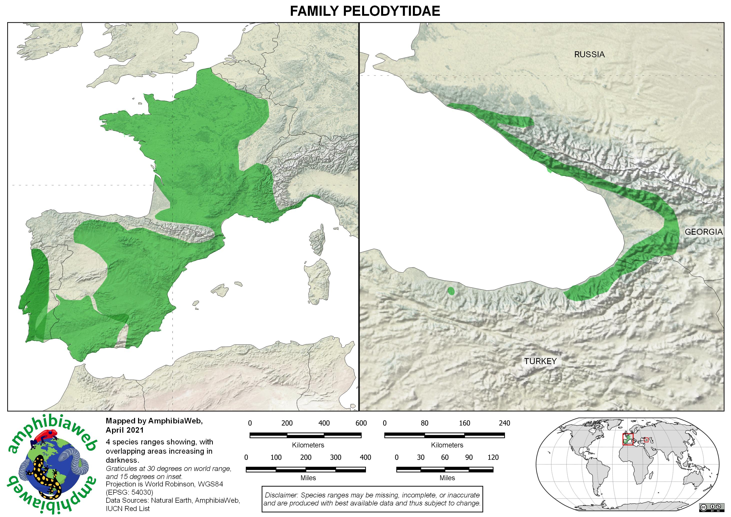 Pelodytidae Richness map