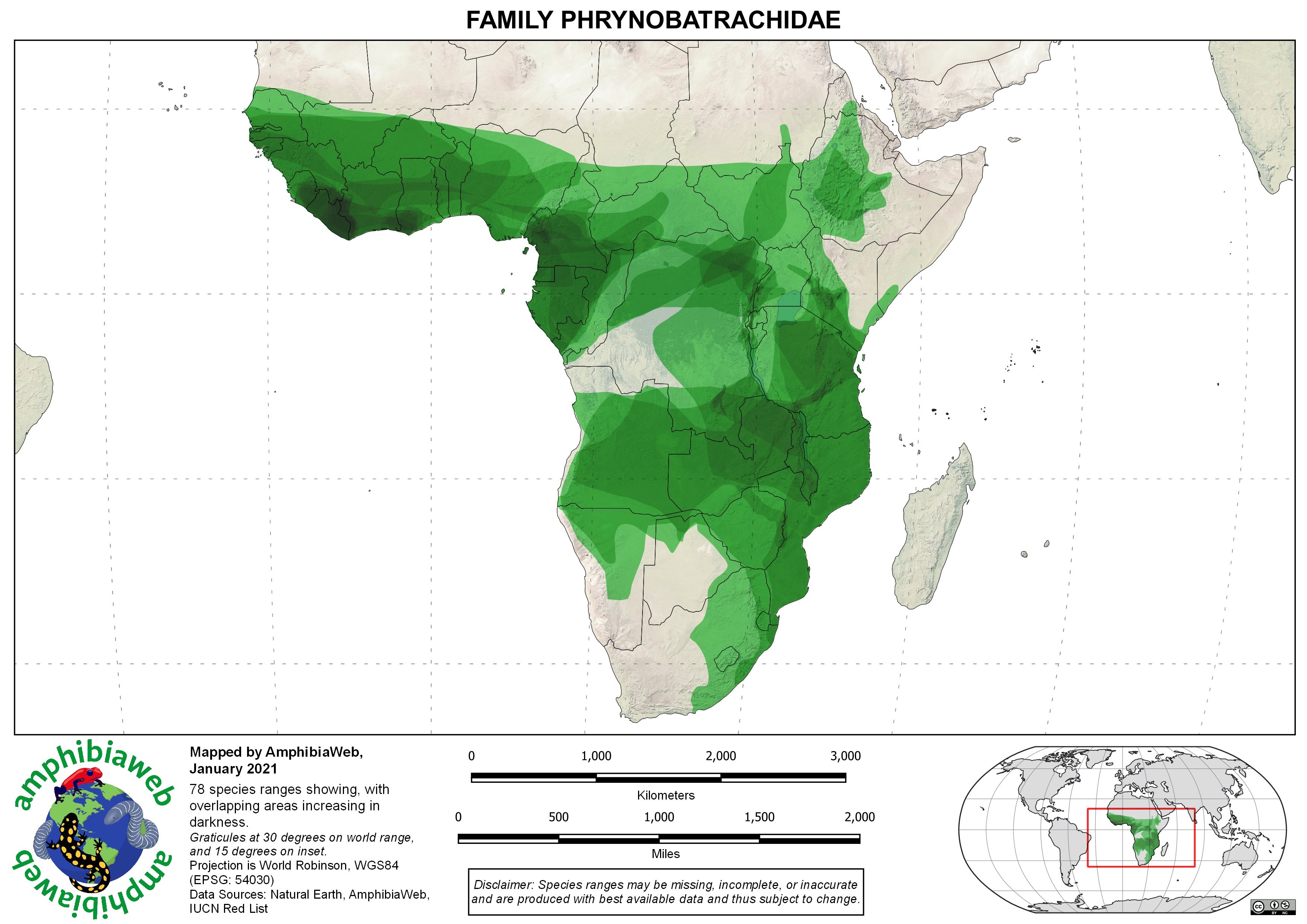 Phrynobatrachidae Richness map