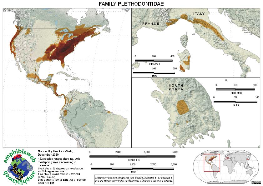 Plethodontidae Richness map