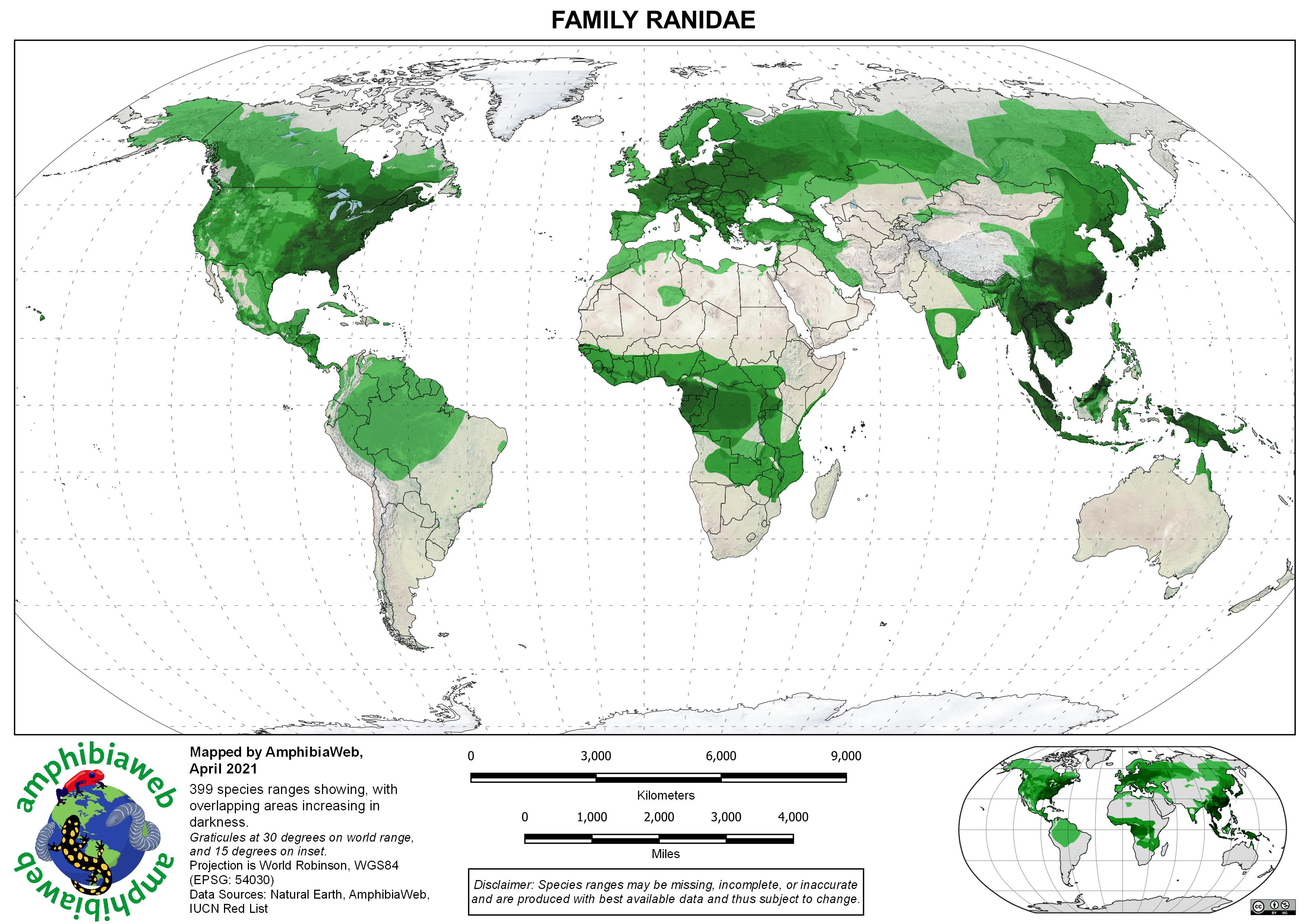 Ranidae Richness map