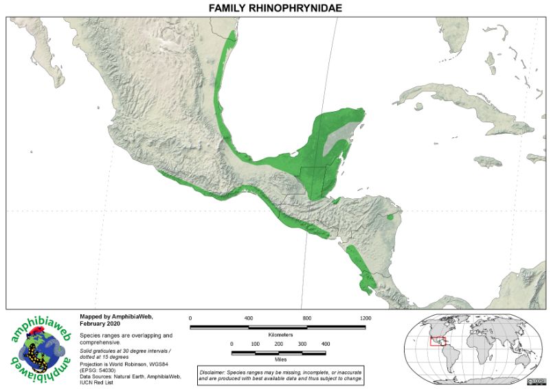 Rhinophrynidae Richness map